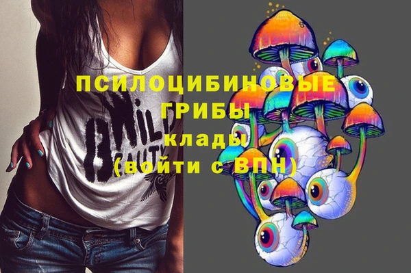 марки lsd Белокуриха