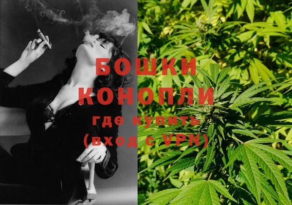 марки lsd Белокуриха
