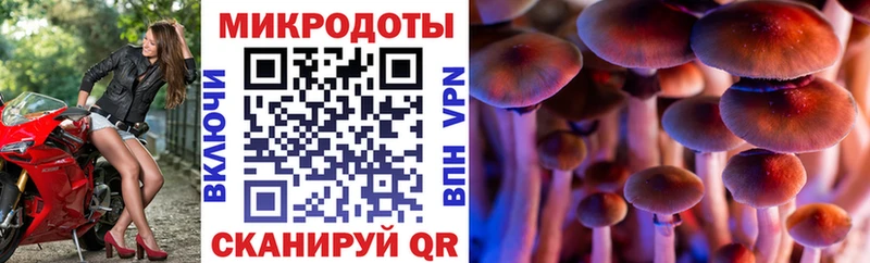 mega вход  Курильск  Псилоцибиновые грибы Magic Shrooms 